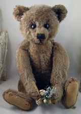 Antique steiff teddy for sale  CHESTERFIELD