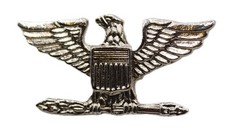 esercito americano divisa usato esercito americano divisa usato  Sarzana