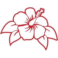 Hibiscus flower vinyl for sale  Long Beach