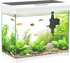 Acquario vetro 17l usato  Roma