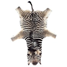 Real zebra skin for sale  Champlain