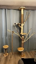 Cat parrot tree for sale  WITHAM