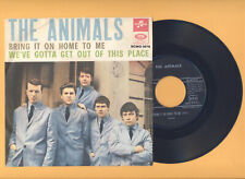 45gg the animals usato  Bari