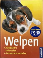 Welpen richtig erziehen gebraucht kaufen  Steinkirchen