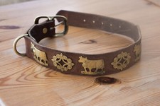 Appenzeller hunde halsband gebraucht kaufen  Gemünden a.Main