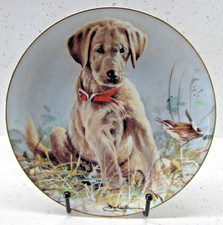 Franklin mint eye for sale  STRANRAER