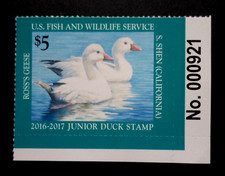 2016 junior duck for sale  Grand Rapids