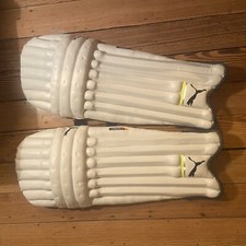 Puma cricket evo for sale  LONDON