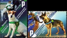 2021 cani servizio usato 2021 cani servizio usato  Spedire a Italy