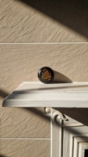 Antique mid 1800 for sale  BEXHILL-ON-SEA