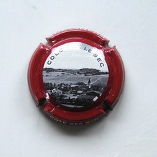 Capsule champagne côte d'occasion  Gilley