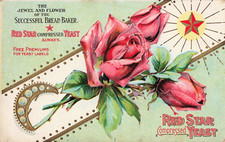 Postcard red star for sale  Naples