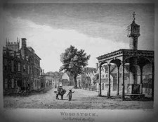 Vintage print woodstock1ppp for sale  UK