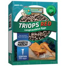 Triops red longicaudatus for sale  USA