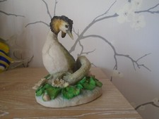 Teviotdale great crested for sale  HUNTINGDON