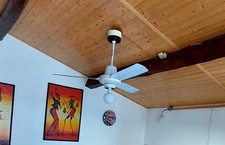 Ventola soffitto vortice usato  Rosignano Marittimo