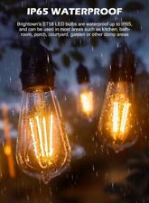 Led edison light for sale  Houston