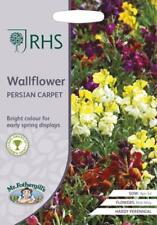 Wallflower persian carpet for sale  NEWMARKET