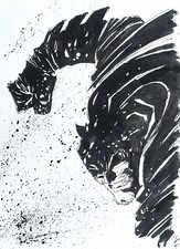 Massimo pecoriello disegno usato  Roma