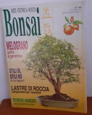 Bonsai. arte tecnica usato  Pontecagnano Faiano