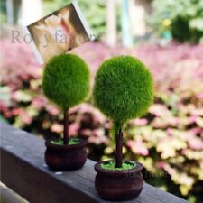 Artificial tree topiary for sale  WATFORD