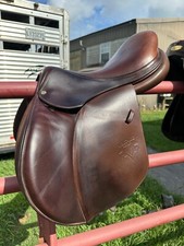 Voltaire palm beach for sale  Gonzales