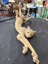 Cleo cat breed for sale  HAWICK