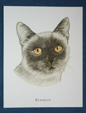 Burmese cat illustrated for sale  DERBY