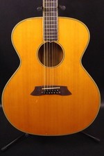 12 cordas Takamine NPT comprar usado  Enviando para Brazil
