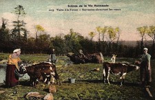 Cpa debut 1900 d'occasion  Nîmes