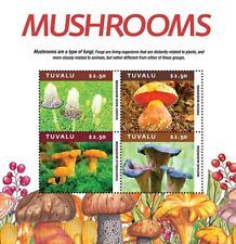 Tuvalu 2021 - Cogumelos, Fauna e Flora - Folha de 4 Selos - MNH comprar usado  Enviando para Brazil