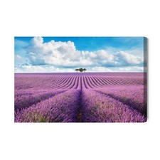 Obraz na płótnie Lawendowe pole z drzewami Krajobraz  Premium Canvas na sprzedaż  PL