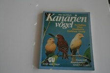 Kanarienvögel nötige wissen gebraucht kaufen  Bad Bramstedt