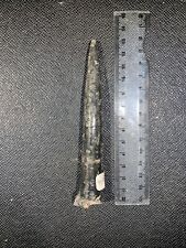 Grande belemnite fossile d'occasion  Villeneuve-Saint-Georges