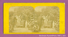 Stereo view view d'occasion  Expédié en Belgium
