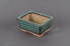 Japanese small bonsai for sale  Charlestown