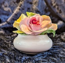 Royal adderley rose for sale  WATERLOOVILLE