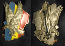 Insigne militaire opération d'occasion  Meung-sur-Loire