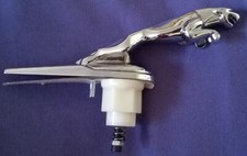 Genuine jaguar type for sale  BRECON