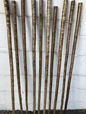Hazel walking stick for sale  CARMARTHEN