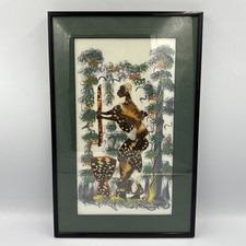 West african butterfly for sale  Urbana
