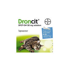 Droncit spot cat for sale  BRISTOL