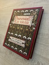 Promenades norvège 1901 d'occasion  Méru