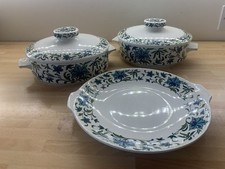 Midwinter spanish garden for sale  BILLERICAY