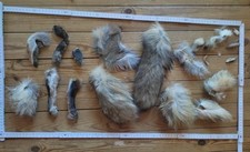 Fuchsfell reste fuchs gebraucht kaufen  Bonndorf im Schwarzwald