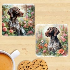 German shorthair pointer for sale  STOCKTON-ON-TEES