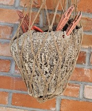 Hanging natural sponge for sale  Parker