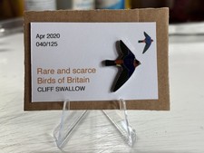 Rspb interest cliff for sale  BEDFORD