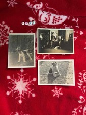 Set antique photographs for sale  WALSALL