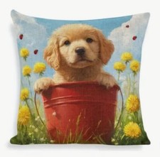 Golden retriever dog for sale  Roanoke